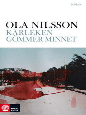 cover image of Kärleken gömmer minnet